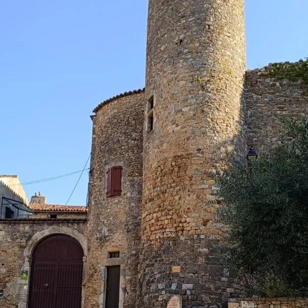 Gîtes de la place du château, hotel en Salavas