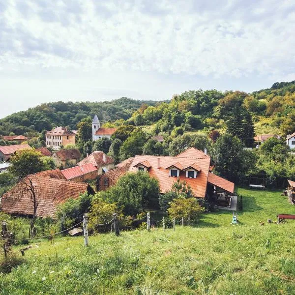 Petershaus - casa de vacanța și distractie., hotel en Mediaş