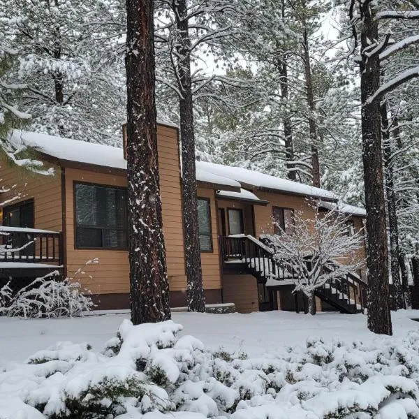 Cheerful Kathys Cabin, Hot Tub, King Bed, Airport, Snowbowl, NAU, Downtown attractions!، فندق في فلاغستاف