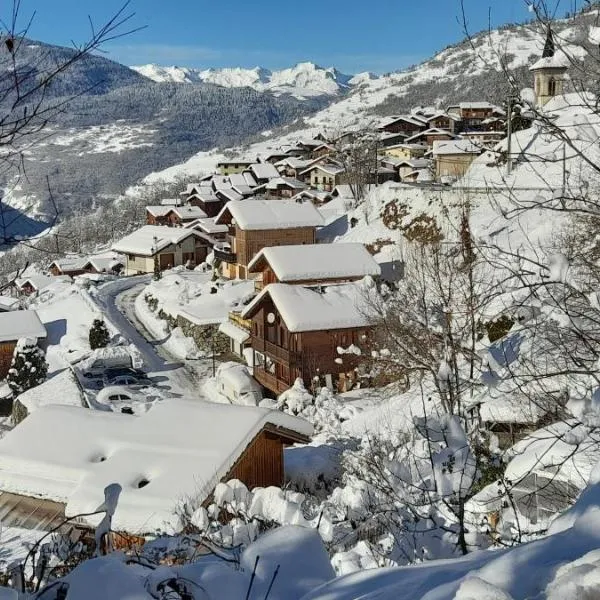 Ski Chalet - Chez Helene Ski fb, hotel in Val Thorens