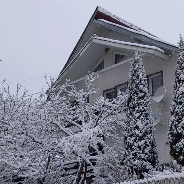 PERLA CĂLIMANILOR, hotel in Piatra Fantanele