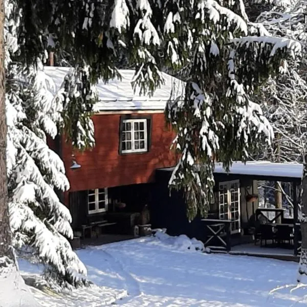 Mošķu Pirts meža māja, hotel v destinácii Sigulda