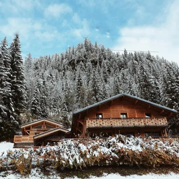 Savoya Lodges, hotel v destinácii Avoriaz