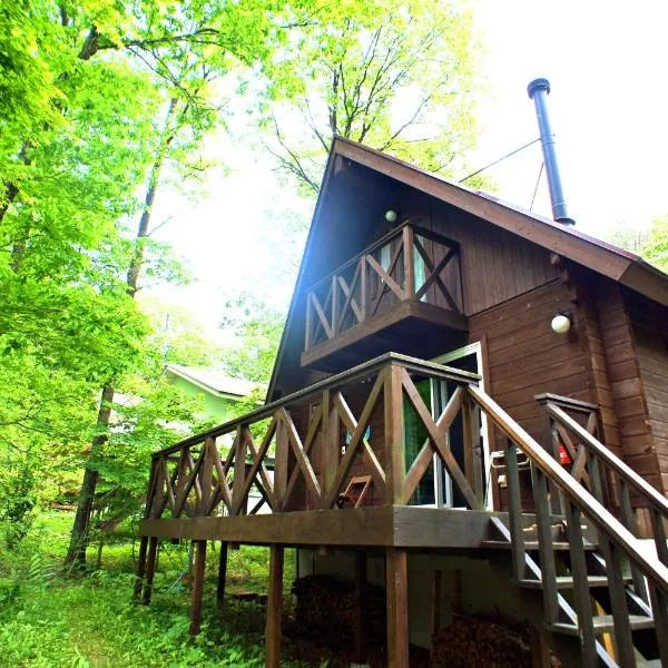 HARUNA LODGE Private log house with starry sky from the skylight, fireplace, and spacious deck BBQ、栃木県那須郡那須町のホテル