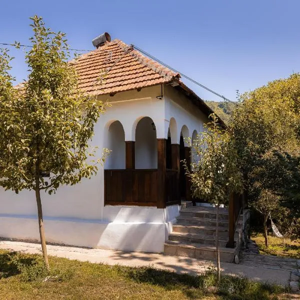 Sentina kuća, hotel v destinácii Jalovik Izvor