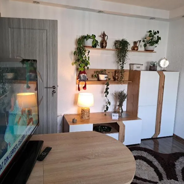 Apartament Medias Metanului, hotell i Mediaş