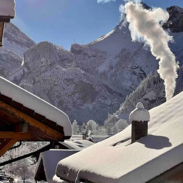 Alpine Chalet, hotel v destinaci Griesalp