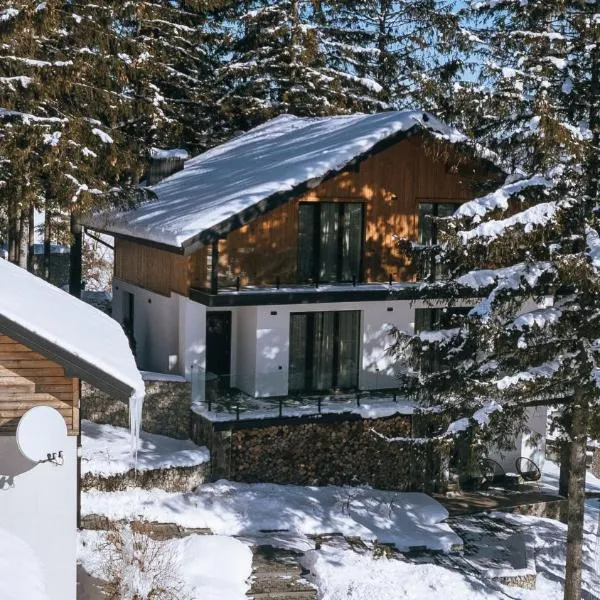 Gogodz Chalet Resort, hotell Яблуниця