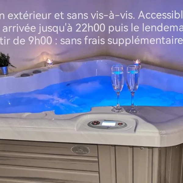 Appartement spa privatif et cinéma centre ville, hotelli Metz