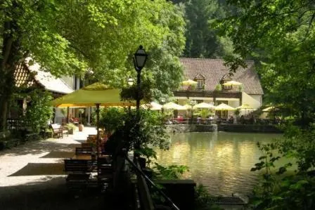 Waldhotel Silbermühle, khách sạn ở Horn-Bad Meinberg