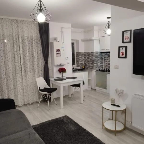 Dream Arena Apartment, hotel em Bacau