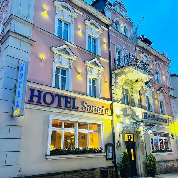 Hotel SONATA, hotel u gradu Dušniki Zdroj