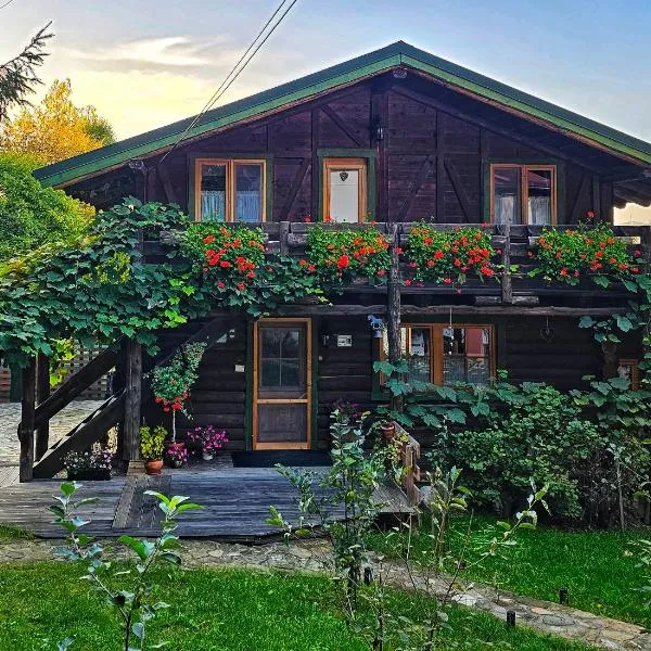 Cabana Bendis, hotel sa Râșnov