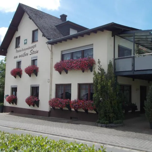 Gästehaus "Am weißen Stein", hotel u gradu Kohem