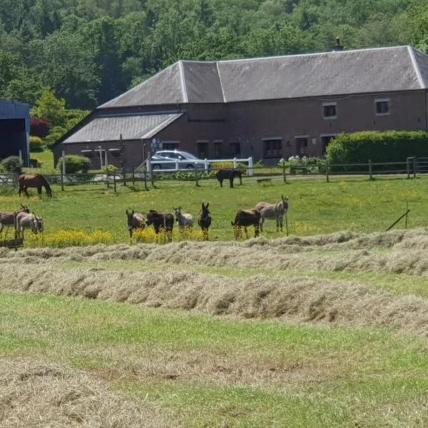 Saint-Hilaire-sur-Helpe में, होटल Les Mout'Anes