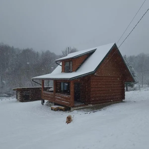 Vysoka brama дерев'яний будиночок з чаном, hotel in Skhidnitsa