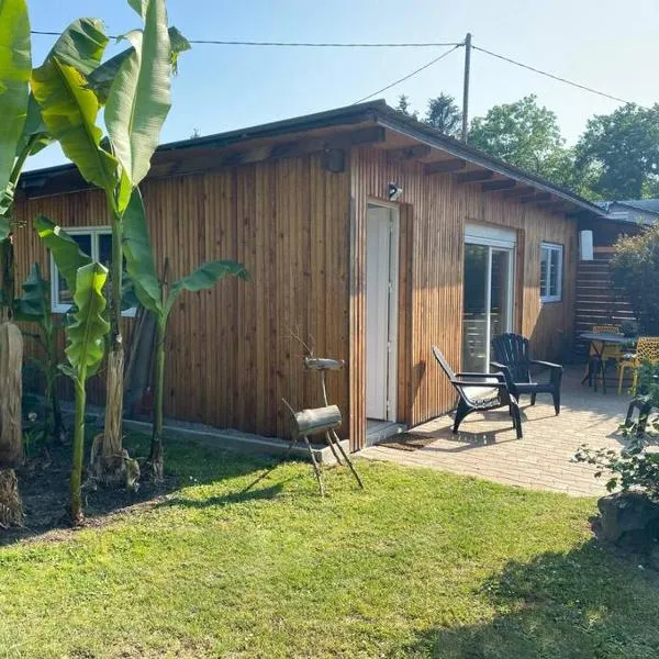 Gîte Vogelau, hotel i Schiltigheim