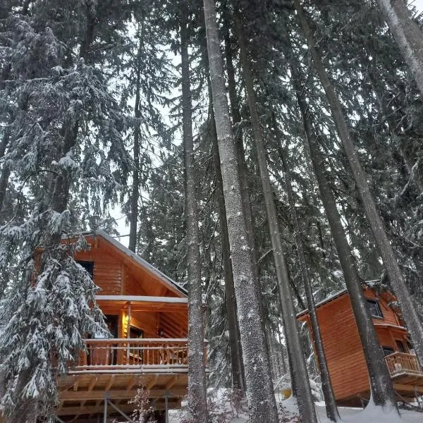 Chalet Hay Huy, hotel di Buşteni