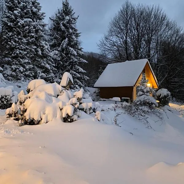 Domek górski na Polanie Goryczkowej 700 m npm - Szczyrk dojazd samochodem terenowym, w zimie utrudniony - wymagane łańcuchy, hotel en Żywiec