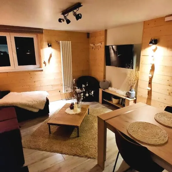 Joli Appartement Cosy 2 à 4 pers avec terrasse La Fourmi، فندق في أوربي