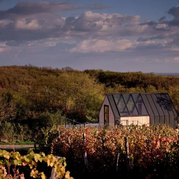 CAMPY ECO HOUSE • EGER, hotel di Bogács