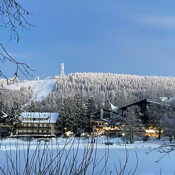 WohnungHahnenkleeLD, hotel Goslar (Hahnenklee)