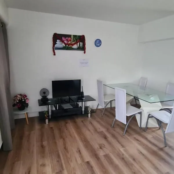 APPARTEMENT EN PLEIN CENTRE VILLE PESSAC AVEC 3 CHAMBRES – hotel w mieście Pessac