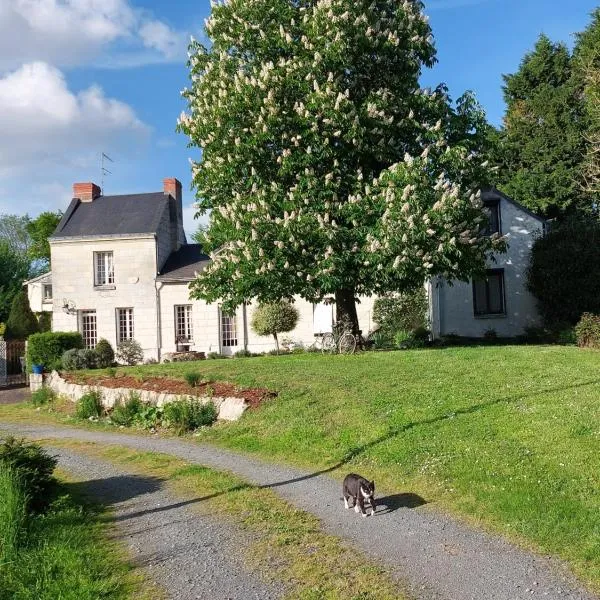 Chambres d'Hôtes de l'Ile du Saule, hotel di Saumur