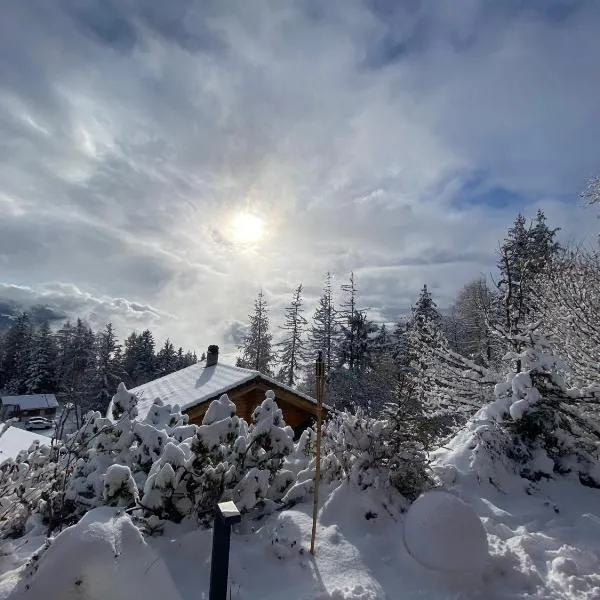 Superbe chalet 12 personnes vue imprenable 2nuits min, hotel a Anzère