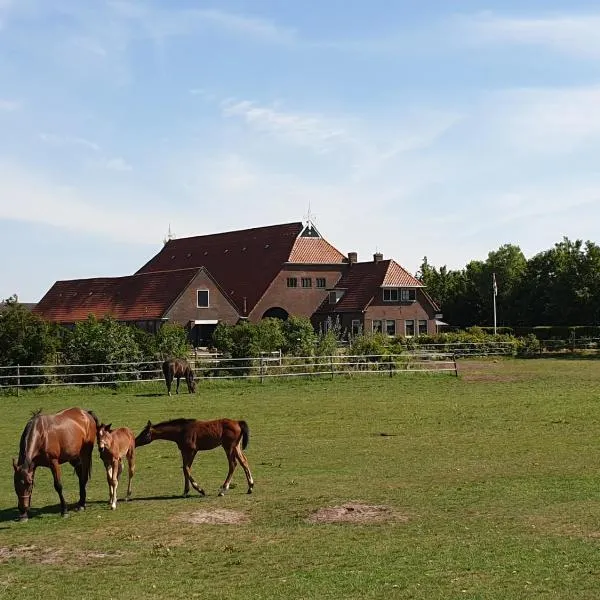 Camping Eefting, hotel a Grou