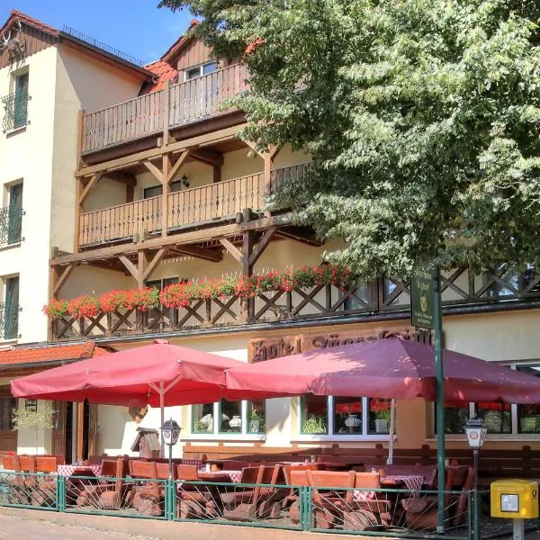 Hotel am Liepnitzsee, hotell i Oranienburg