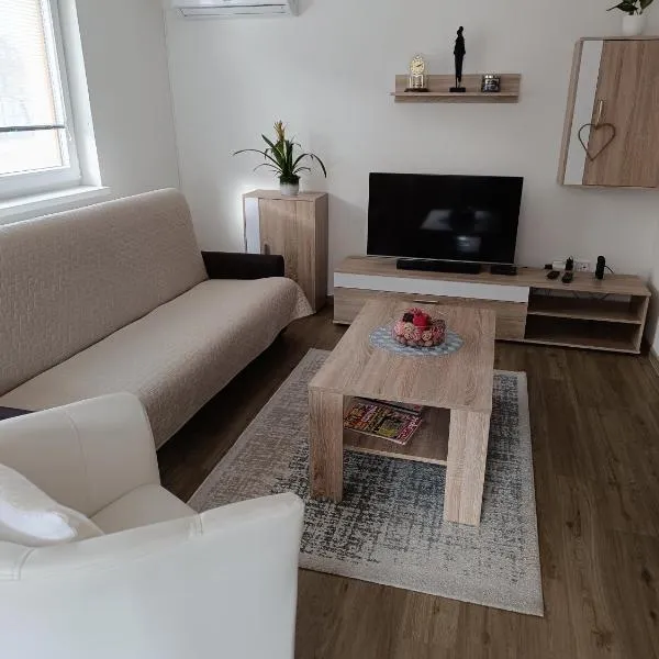 Apartmány Svítkov 79, hotel en Pardubice