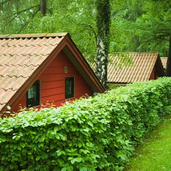 Waldidylle - Bungalows an der Talsperre Kriebstein, hotel em Chemnitz