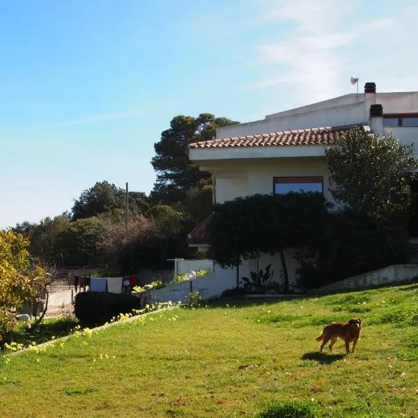 Asinara, hotel Sassari