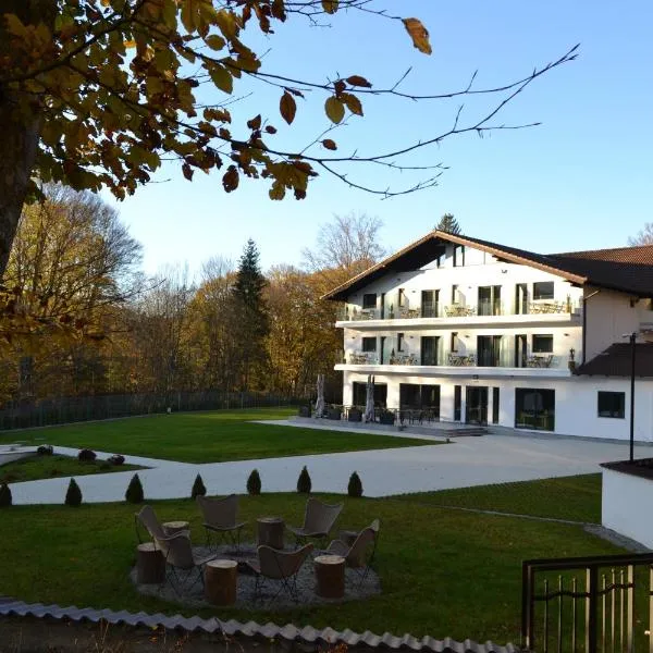 Pensiunea Amonte, hotel di Avrig