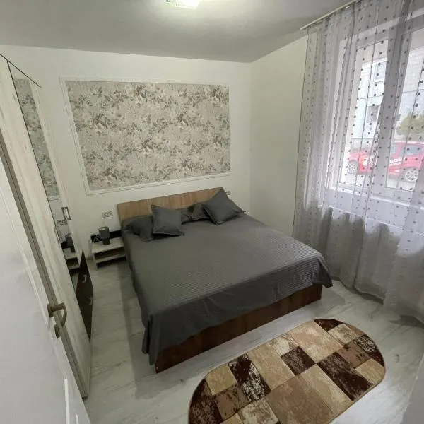 R.M Apartament, ξενοδοχείο σε Lugoj