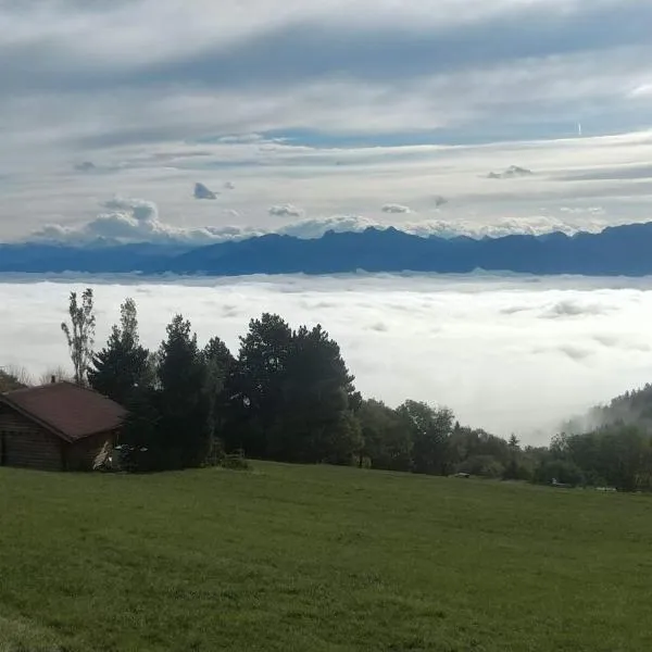 Le Petit Chalet du haut du Salève – hotel w mieście Saint-Julien-en-Genevois