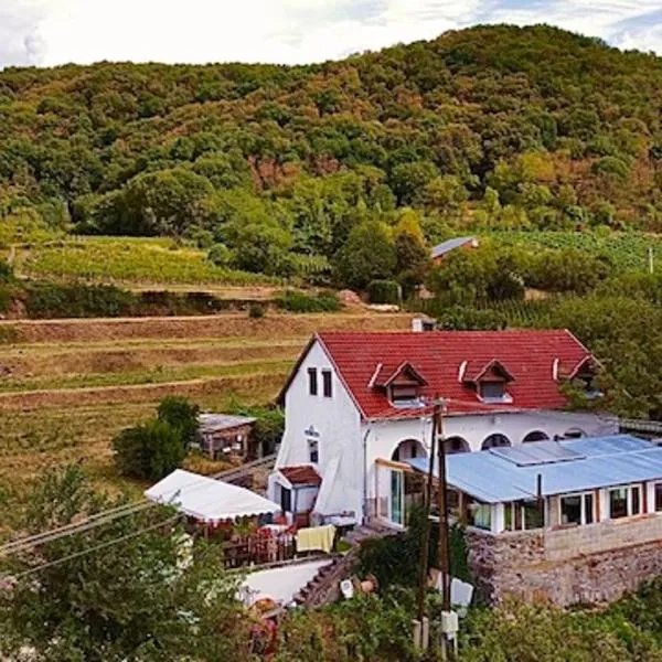 Inhauser Pincészet&Guesthouse&Restaurant, hotell Somlószőlös