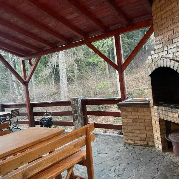 CAMERE de INCHIRIAT LA TUGUIATA, hotel em Buşteni