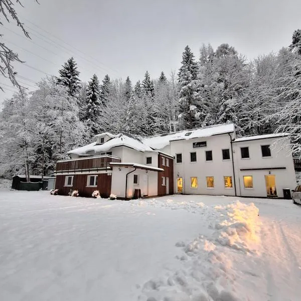 Penzión MALINO, hotel em Ruzomberok