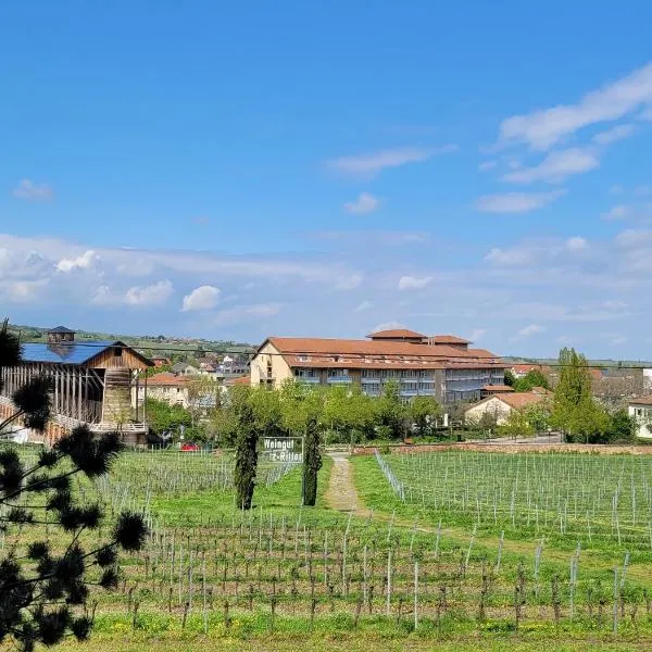 Ihr Bett mit Blick auf die Weinberge, מלון בבאד דורקהיים