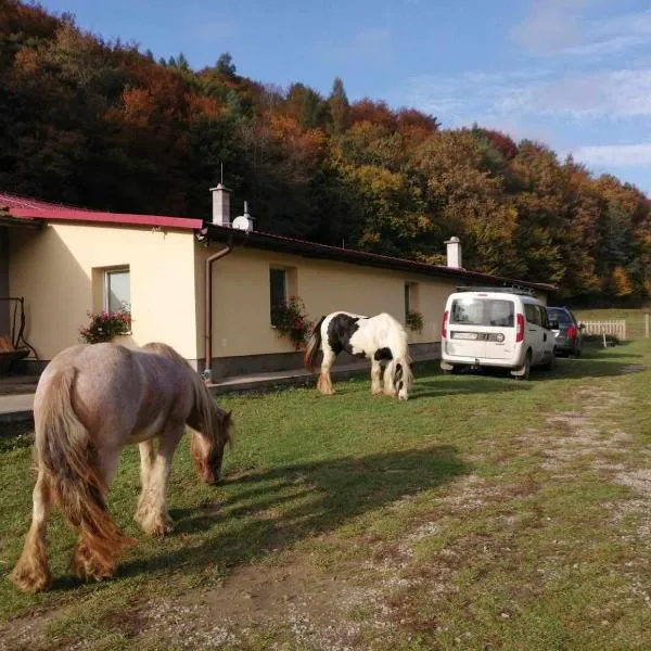 Oddychový pobyt na rodinnej farme, hotel v destinaci Domaša Dobrá