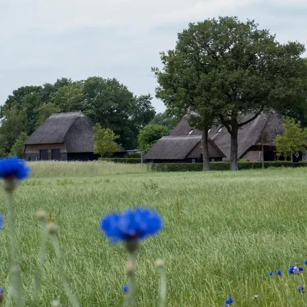 Gastenverblijf Lheederhof, hotel di Dwingeloo