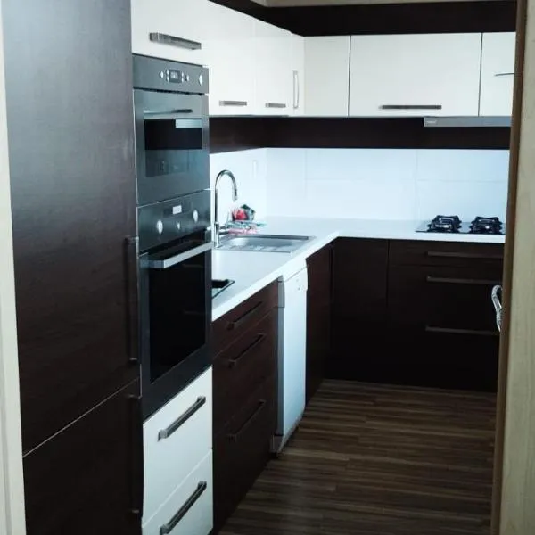 Apartmán Hodonín 7 7 7 2 3 4 1 9 4, viešbutis mieste Hodonynas