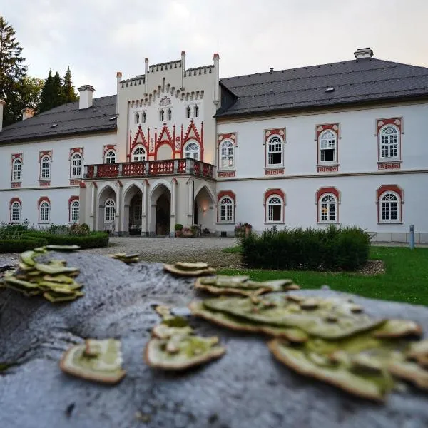 Chateau Herálec Boutique Hotel & Spa by L'Occitane, hotel din Jihlava