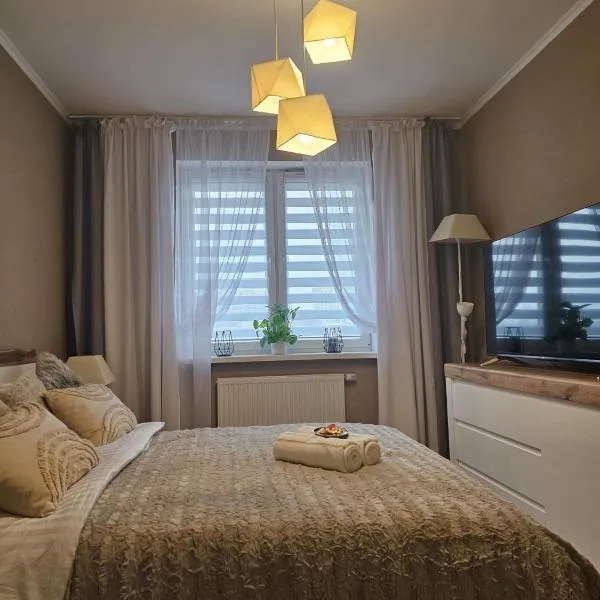 2 Bed Apartment in Zyrardow, hotel em Żyrardów