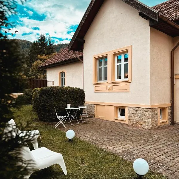 Wonderfull Cozy Villa - Old Town Center Brasov, hotel Brașov