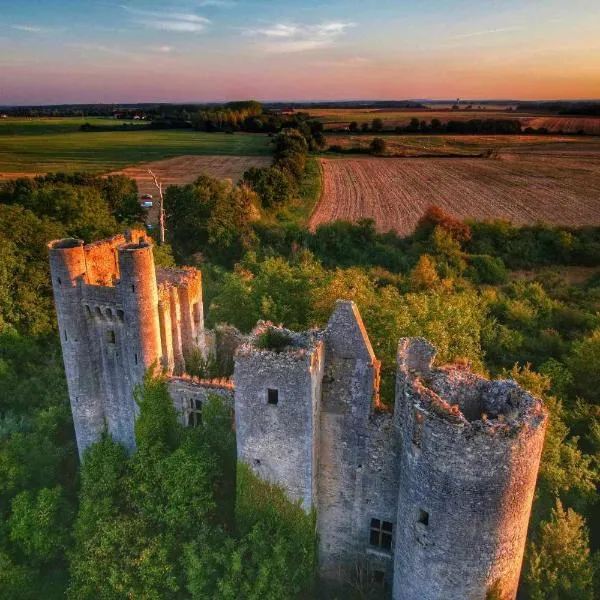 Le Domaine du Château, hotel v mestu La Charité