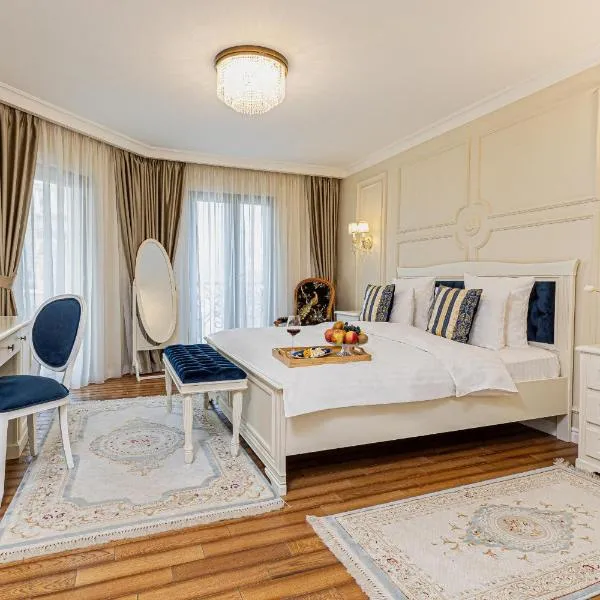 Grant Boutique Hotel, hotel in Arad