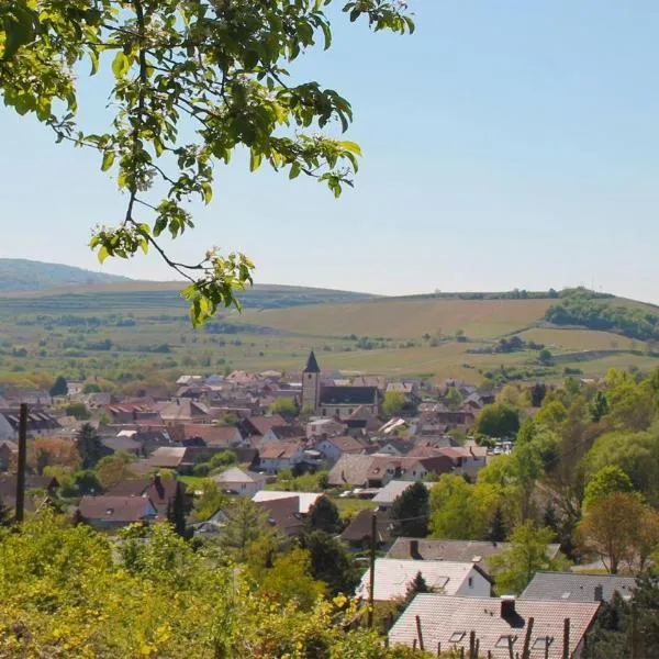 Villa Bonita del Kaiserstuhl, hotel di Niederrotweil